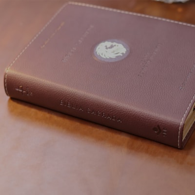 image_b4e77b3c-4664-4211-8388-486a8c7dd112