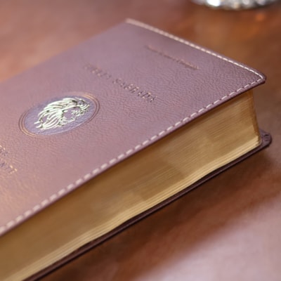 image_99d37055-7209-410f-8646-02e0fe05b95f