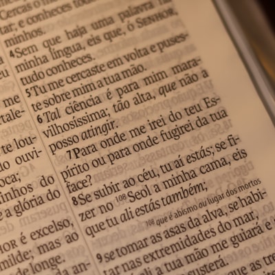 image_6af59d12-b8bb-44de-8ac9-499eafe8268b