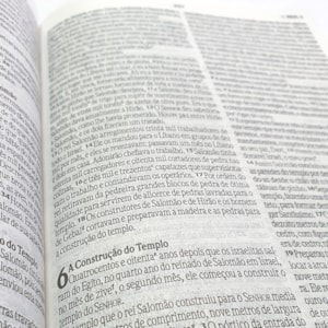 Segunda imagem do produto Bíblia Sagrada Leão Artístico | NVI | Letra Normal | Capa Dura