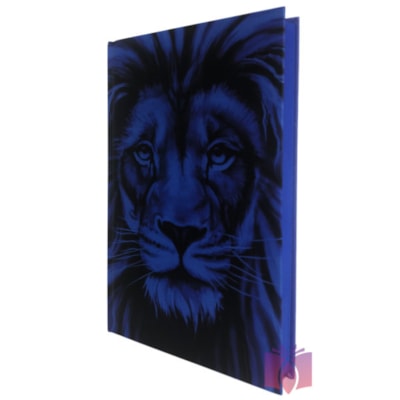 image_3062b34c-c1b5-4513-9587-cf4907fd468d