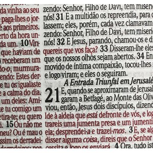 Bíblia Sagrada Leão Azul Com Harpa Avivada e Corinhos | Letra Grande | ARC | Capa Dura