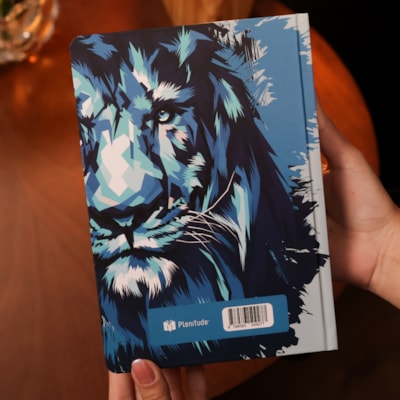 image_48b98754-e4ca-4078-b8d9-3a944dca32a9