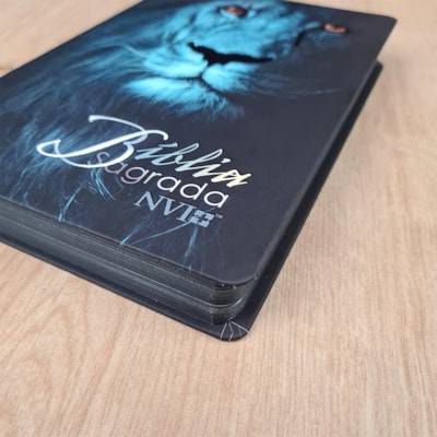 image_8022bb02-4043-4ea9-9ca5-cfb78af44222