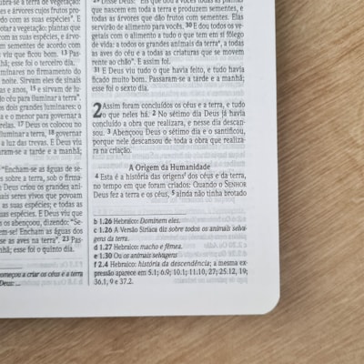 image_a915a363-8904-4b96-9ae1-5bde6acbeec6