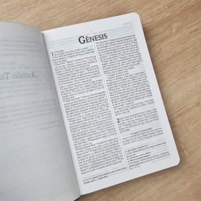 image_d8121c76-4427-4695-b827-07124f5714a5