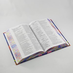 Bíblia Sagrada Leão Colorido | NVI | Letra Gigante | Capa Dura