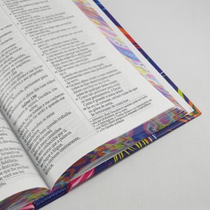 Bíblia Sagrada Leão Colorido | NVI | Letra Gigante | Capa Dura