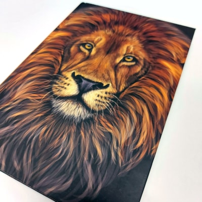 image_49b6436b-5fad-451b-9e91-8405cfdb03e7