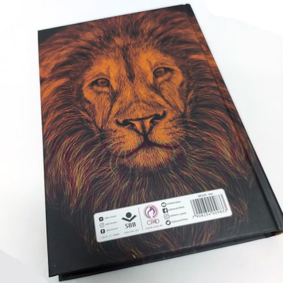 image_cca4a662-f46e-4fda-a768-a8b599a4255a