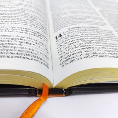 image_05f64433-22c1-4e24-a899-41525296e123