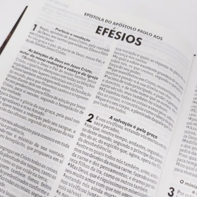 image_981c156d-71ff-492e-9d0b-144943a3f03e