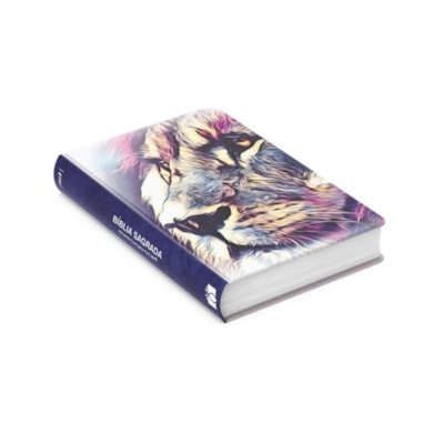 image_6c1613a6-804a-4ce0-bcd1-c1dfe573aebc