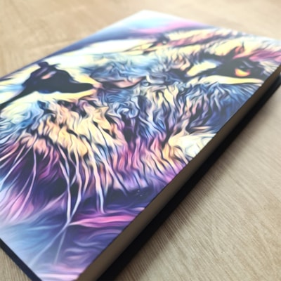 image_a9957d53-f198-4ff1-b24c-fd8ed57ab08c