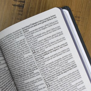 Bíblia Sagrada Leão Coroa | ARC | Letra Grande | Capa Dura | Harpa Avivada e Corinhos