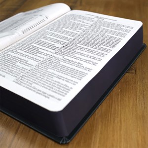 Bíblia Sagrada Leão Coroa | ARC | Letra Grande | Capa Dura | Harpa Avivada e Corinhos