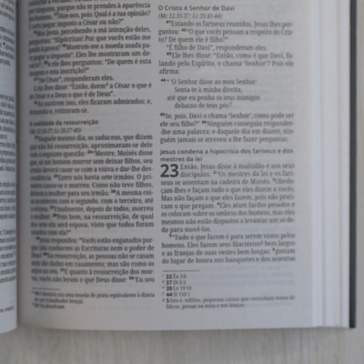 image_7de0824e-c69a-4a64-ad21-755863ba1b4e