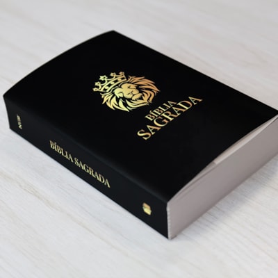 image_406b2b08-6b44-49d1-b38b-7a4a8ede0c1f