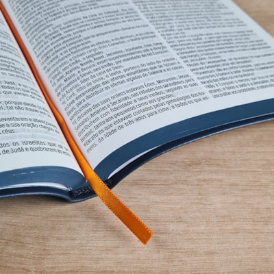 image_a0b90e24-ab7d-46c4-8fe3-a432ae89e2c8