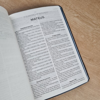 image_bdd833a5-5f32-4ee4-acfe-34ced1e50763