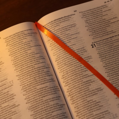 image_a689b83d-d947-4754-a951-6c1754459f23