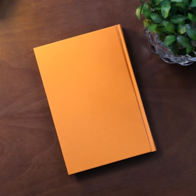 image_cd1af631-3761-448d-90c5-359c01e04573