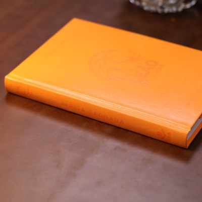 image_40b41abf-754e-4a11-bb0c-d9a1ab769c1d