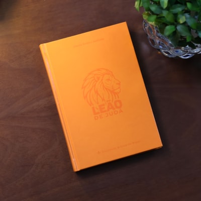 image_59b7137d-7497-4ac6-ae7f-cfe547ea0b74