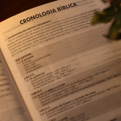 image_646ce3b8-bf64-43cb-8481-2bc90cb1e3e1