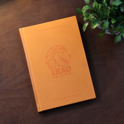 image_33c43ddf-0566-4756-b9f5-c88cf86cad60