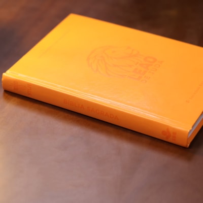 image_e3685634-dfc8-4683-a28f-218699e08eb9