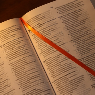 image_b65bf7f6-5b07-403a-aa87-30decbcc093c