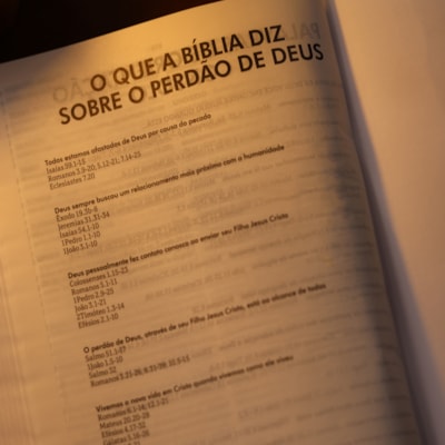 image_d3612e87-9c0f-40d0-8491-428f6bdf3aab