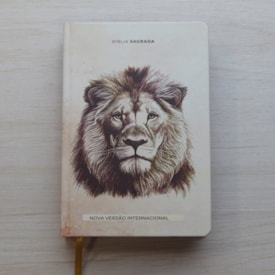 Segunda imagem do produto Bíblia Sagrada Leão de Judá | NVI | Letra Maior | Capa Dura Ilustrada