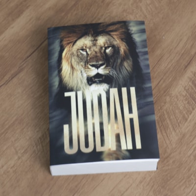 image_5eed9d84-17ee-4a24-83c1-136360563a1a