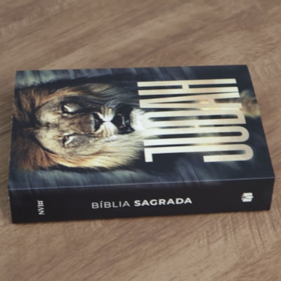 image_8ad43e7e-8c66-4e8c-9bf3-36e0e1e54e98