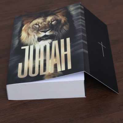 image_b2330969-5043-4d47-a048-d5253fcc064b