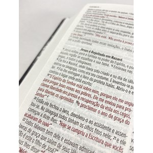 Bíblia Sagrada Leão de Judah | NVI | Letra Normal | Flexível Soft Touch