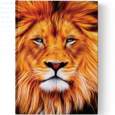 Imagem Principal - 9fe3df66-520f-45ae-bd4b-1f4927f07888