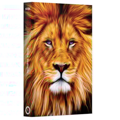 image_6bea4ece-2f0d-4085-bfeb-1420dcb28c26