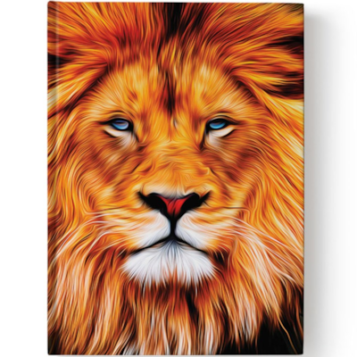 image_ef4c1e14-8e49-40ac-a876-fd8beff9fb52