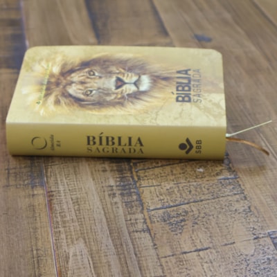 image_27682cf2-32e9-4797-a300-9456a937afe2