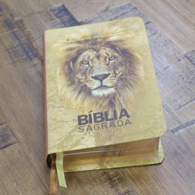 image_da93b08b-8454-4bd5-b978-1b335adde6dd