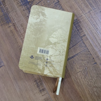 image_5eaa115a-5e49-4bc1-8ccb-84869e92daf2