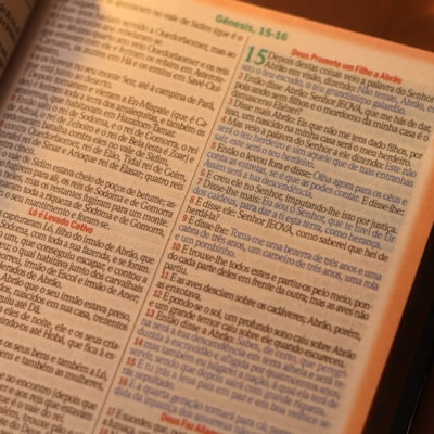 image_933870b8-0f93-4e42-8ac8-c74d43523680