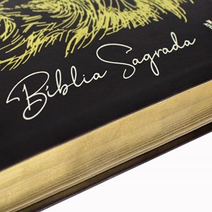 Bíblia Sagrada Leão Dourado | NAA | Letra Grande | Capa Marrom Luxo