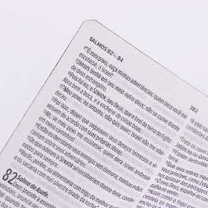 Bíblia Sagrada Leão Dourado Slim | NVT |  Letra Maior | Capa Luxo Preta