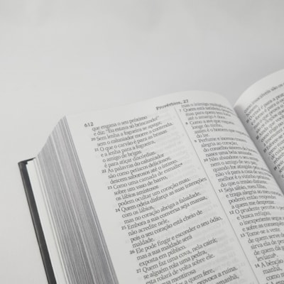 image_74948484-acf1-4154-b6e1-e48243348975