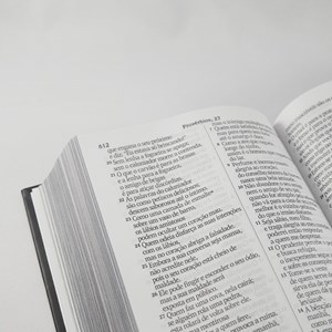 Bíblia Sagrada Leão Esboço | NVI | Letra Gigante | Capa Dura
