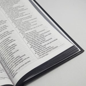 Bíblia Sagrada Leão Esboço | NVI | Letra Gigante | Capa Dura